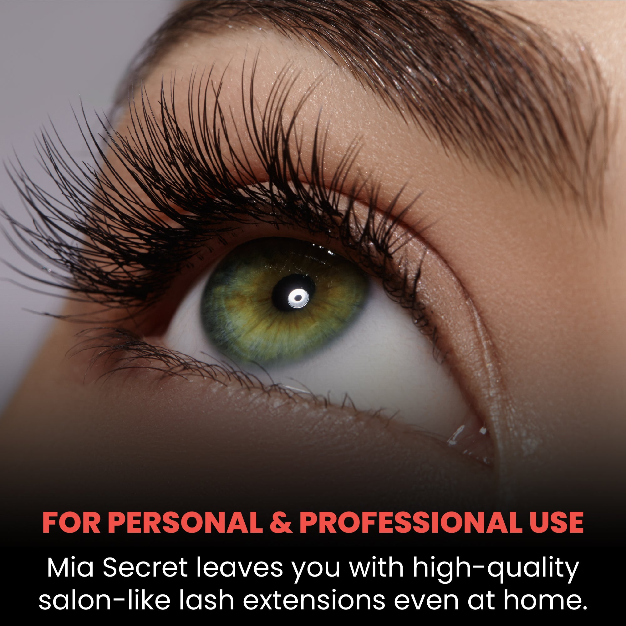 Eyelash Academic Kit