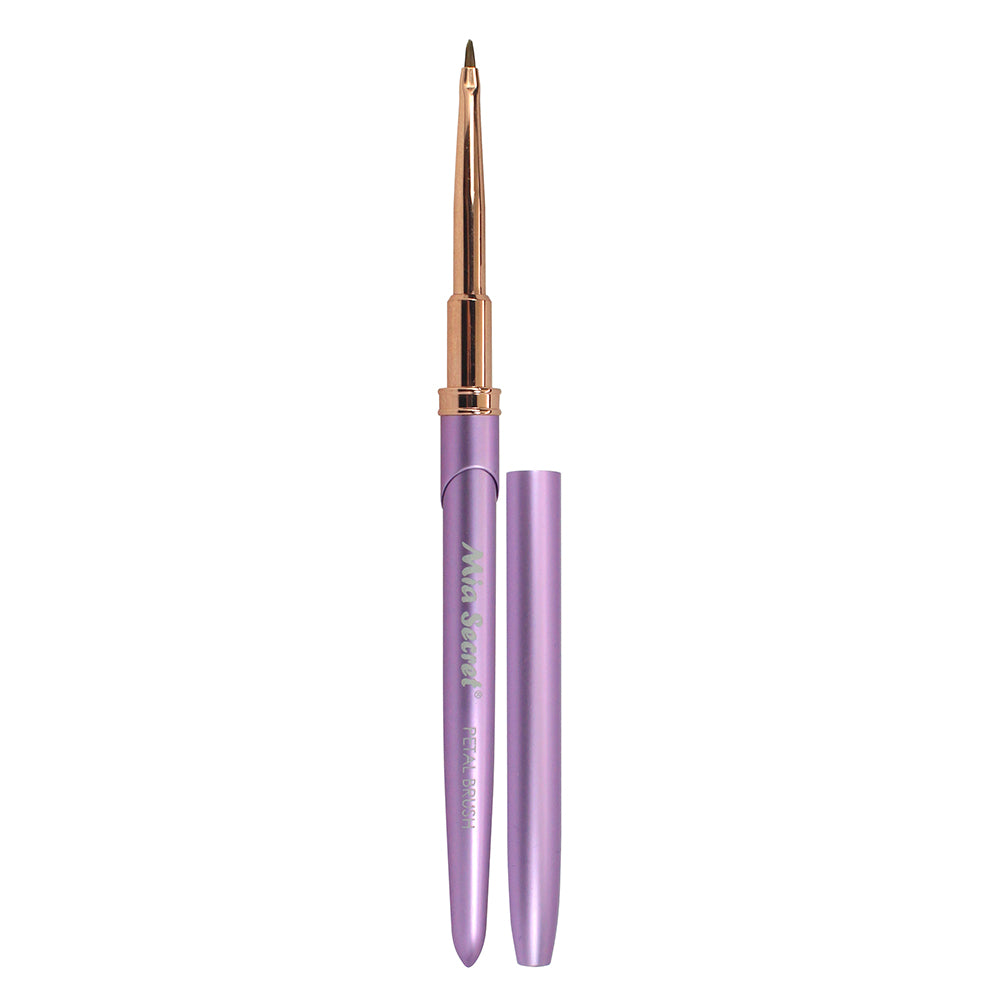Nail Art Brushes